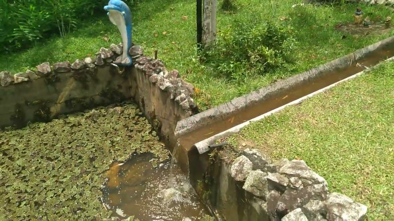 Tanque de Cimento 