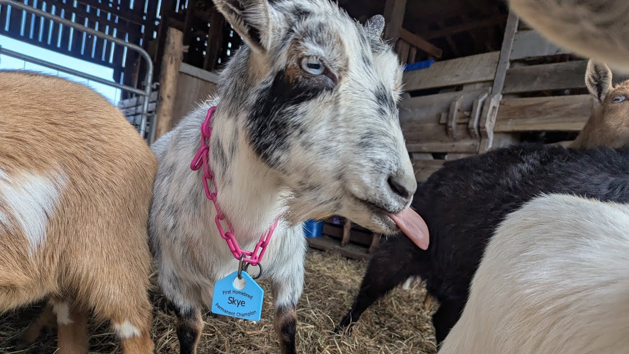 Winter storm? Snow/Ice? Or just rain? How we prepared...