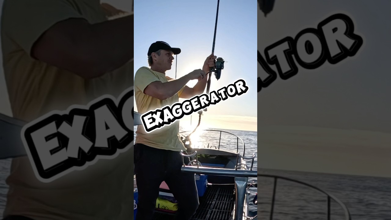 Red Hot Snapper Session - Gold Coast Offshore Fishing 