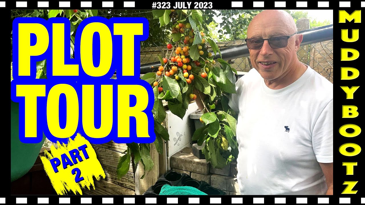 🌻323 🌻 GARDEN TOUR 2023 Pt2🌻 ALLOTMENT TOUR 2023 🌻