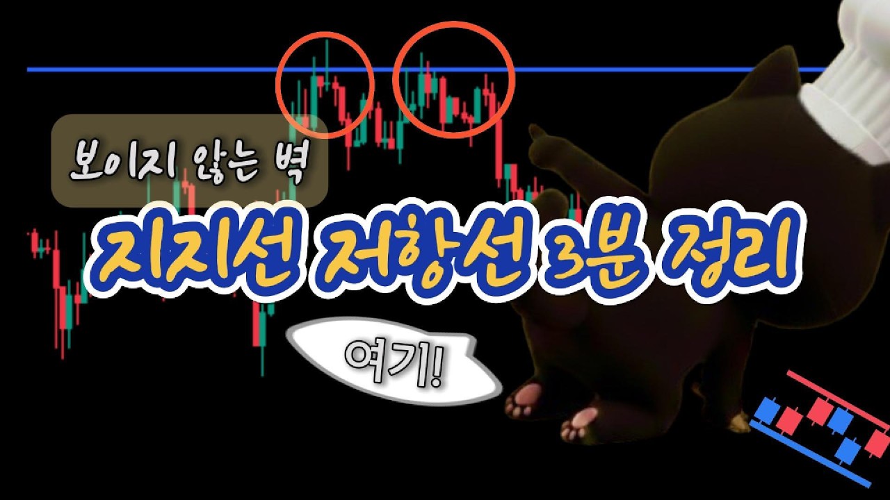 지지선 저항선 배우고 매매 타이밍 잡힘 | 지지선 저항선 3분 정리