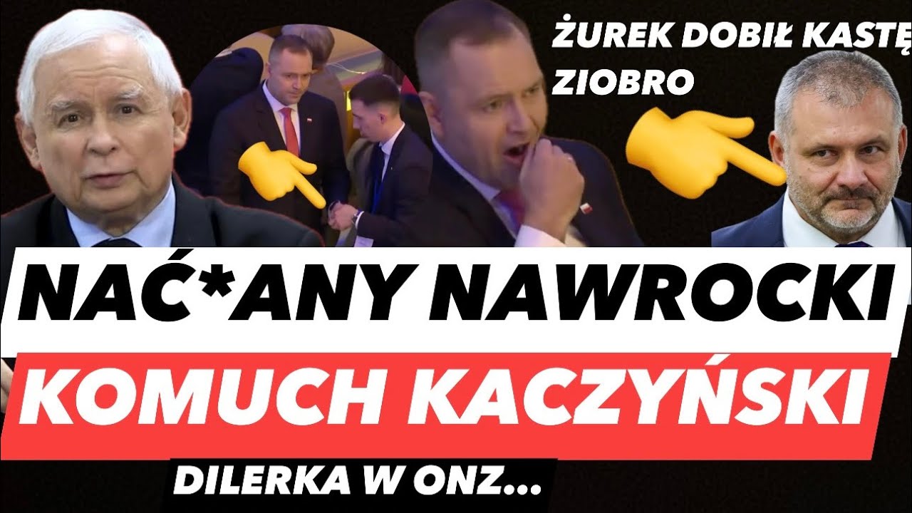 NAWALONY NAWROCKI PROCHEM W ONZ – SNUS POD STOŁEM❗️ŻUREK PUSZCZA NEOSĘDZIÓW Z TORBAMI I KOMUCHY PiS