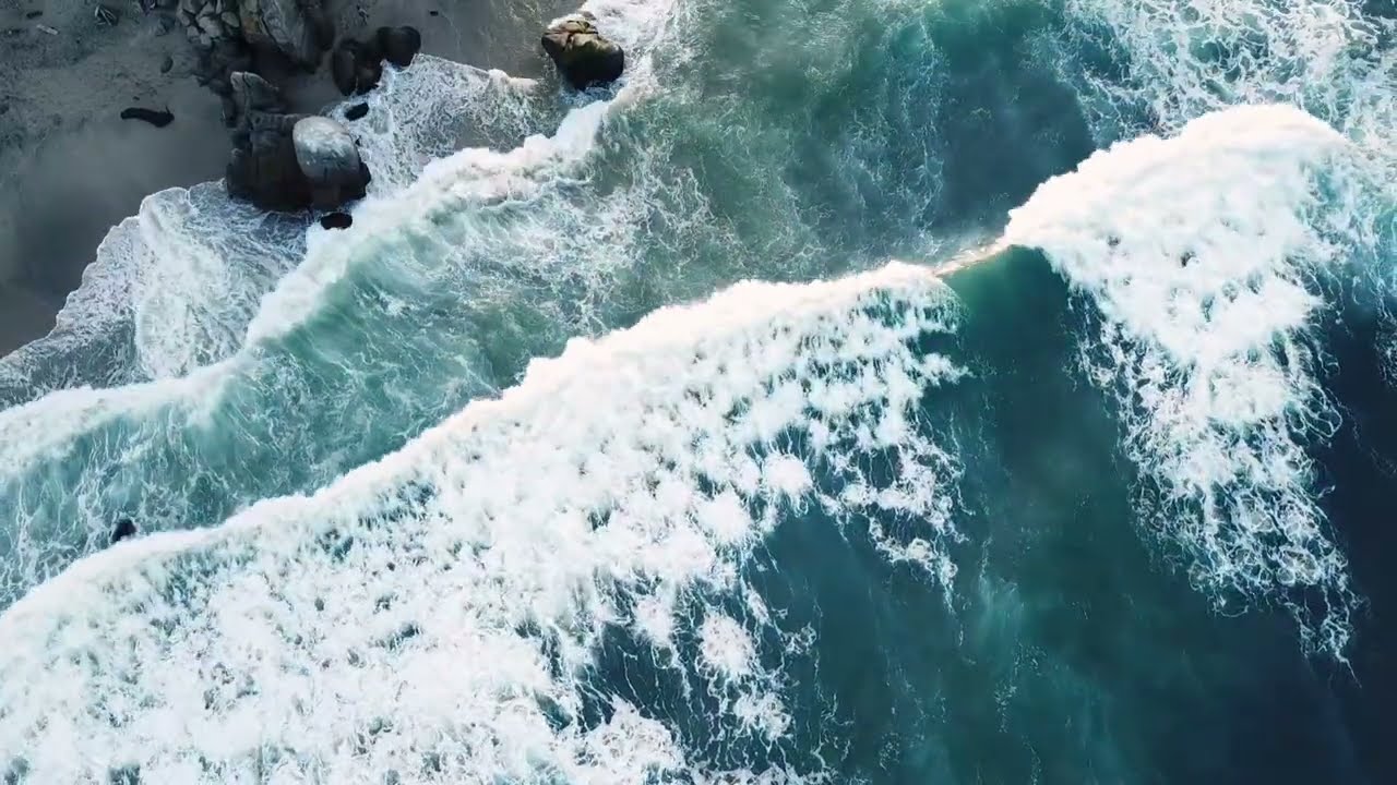 Filhos do Mar 🌊 | M&uacute;sica Portuguesa