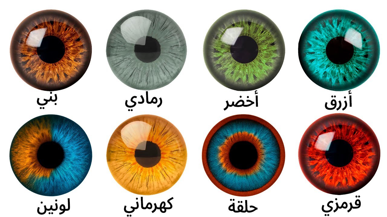 الألوان الثمانية للعيون وما تخفيه من ميزة تطورية