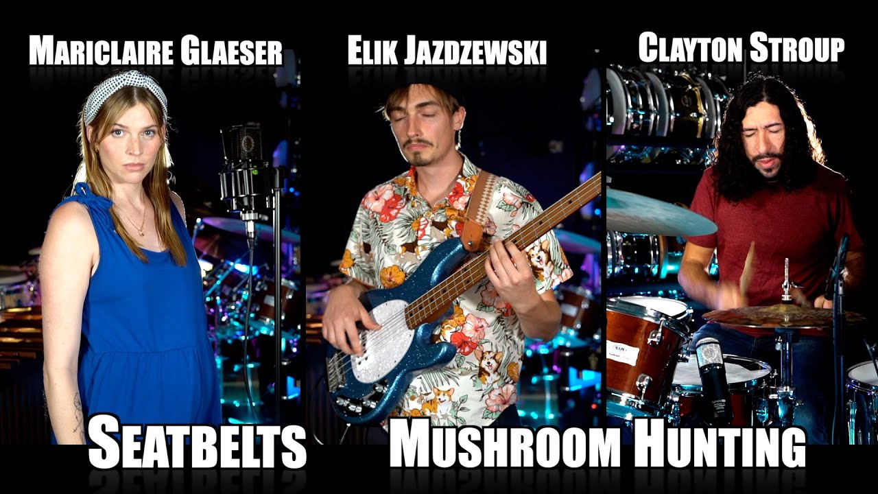 Seatbelts: Mushroom Hunting - The Fungal & Funguys Version