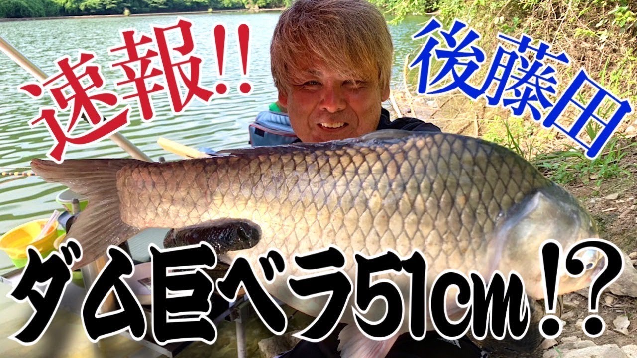 【速報‼︎】上津ダム51センチ‼️尺半11枚奇跡の動画