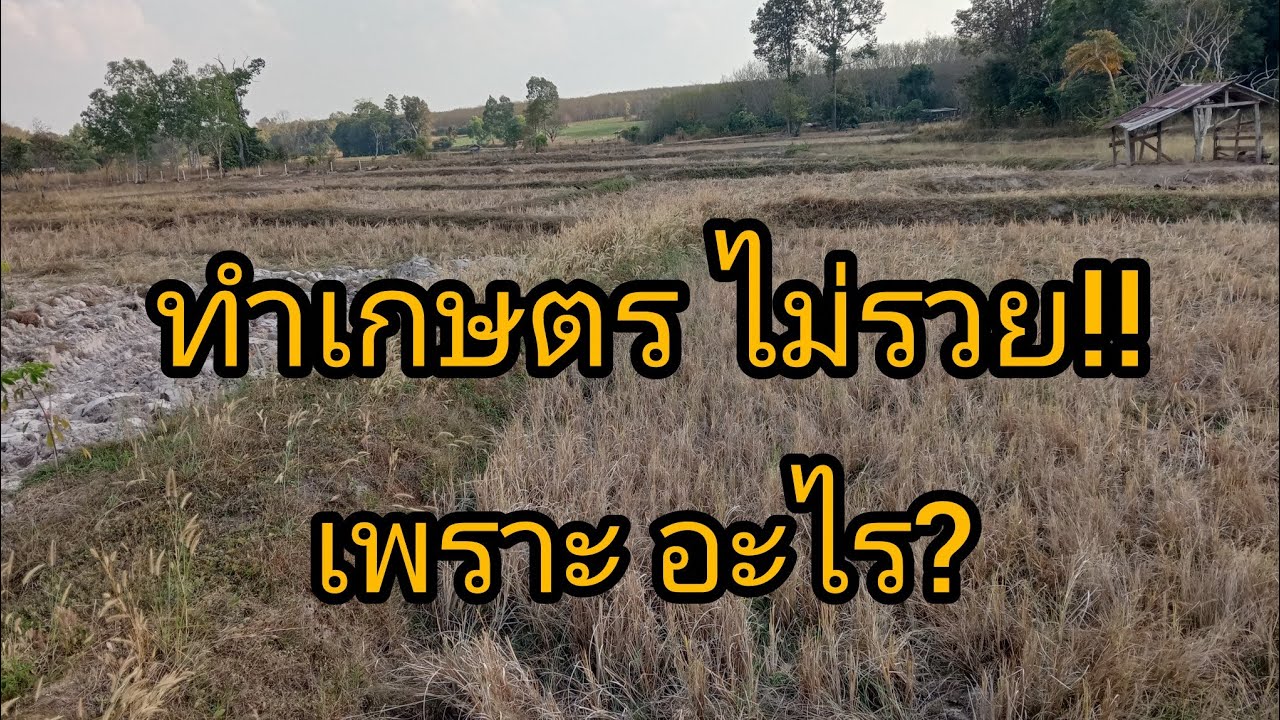 ทำเกษตร  ไม่เคย รวย!!