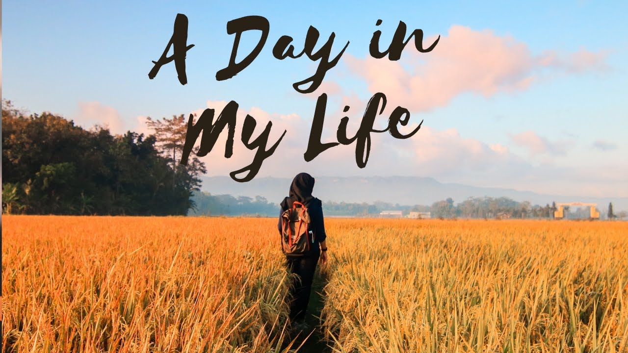 A Day in the Life of a PhD mom in America!