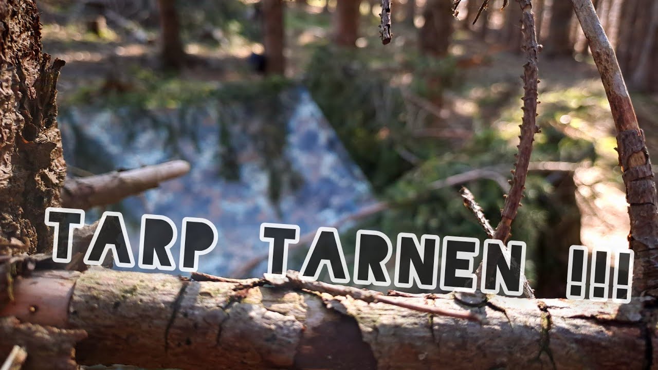 LAGERPLATZ TARNEN ! Tarp | Outdoor | Fichten Wald |