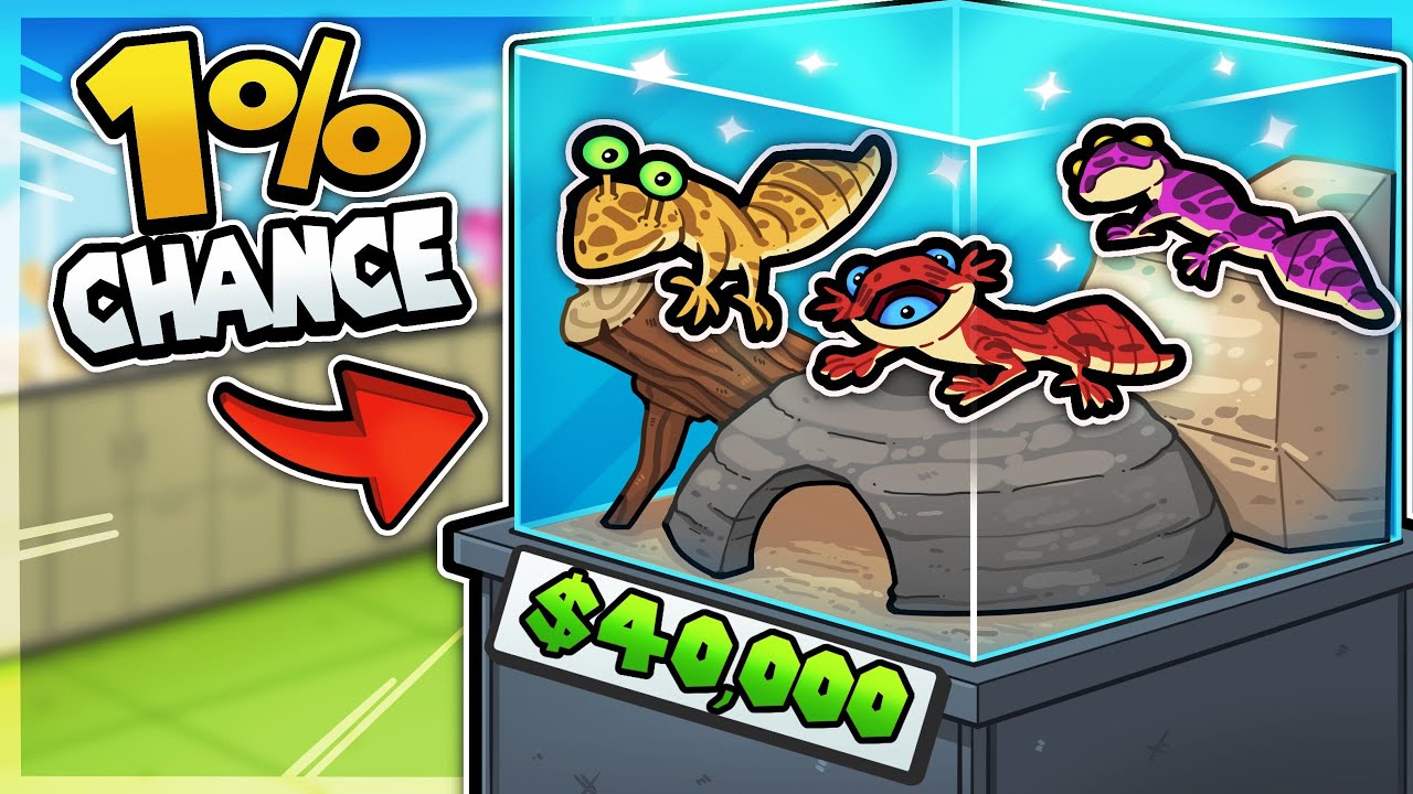 I left my wife to open my own Gecko store