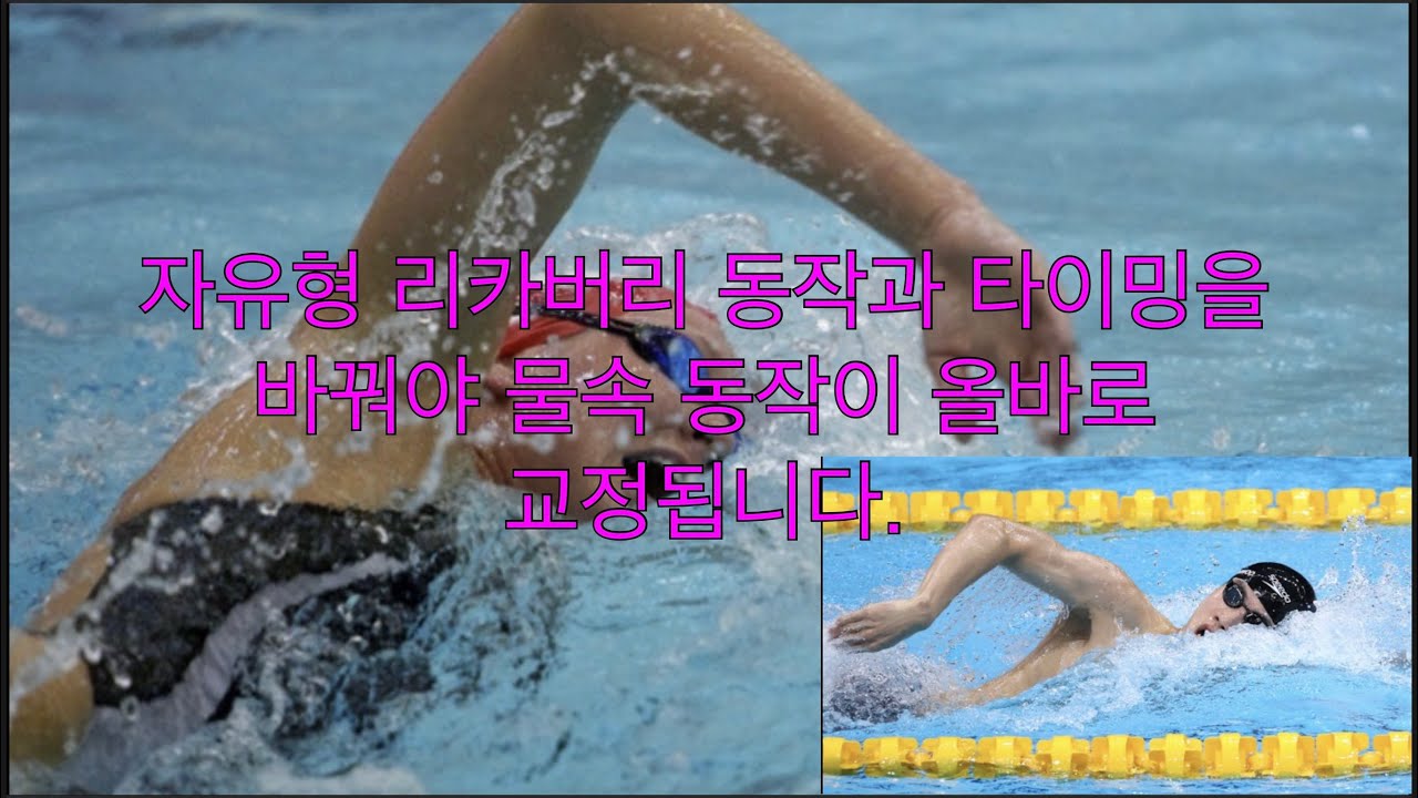 자유형은 리카버리 동작과 타이밍을 바꿔야 물속 동작이 올바로 교정됩니다.