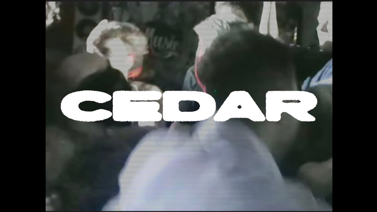 cedar - 100%