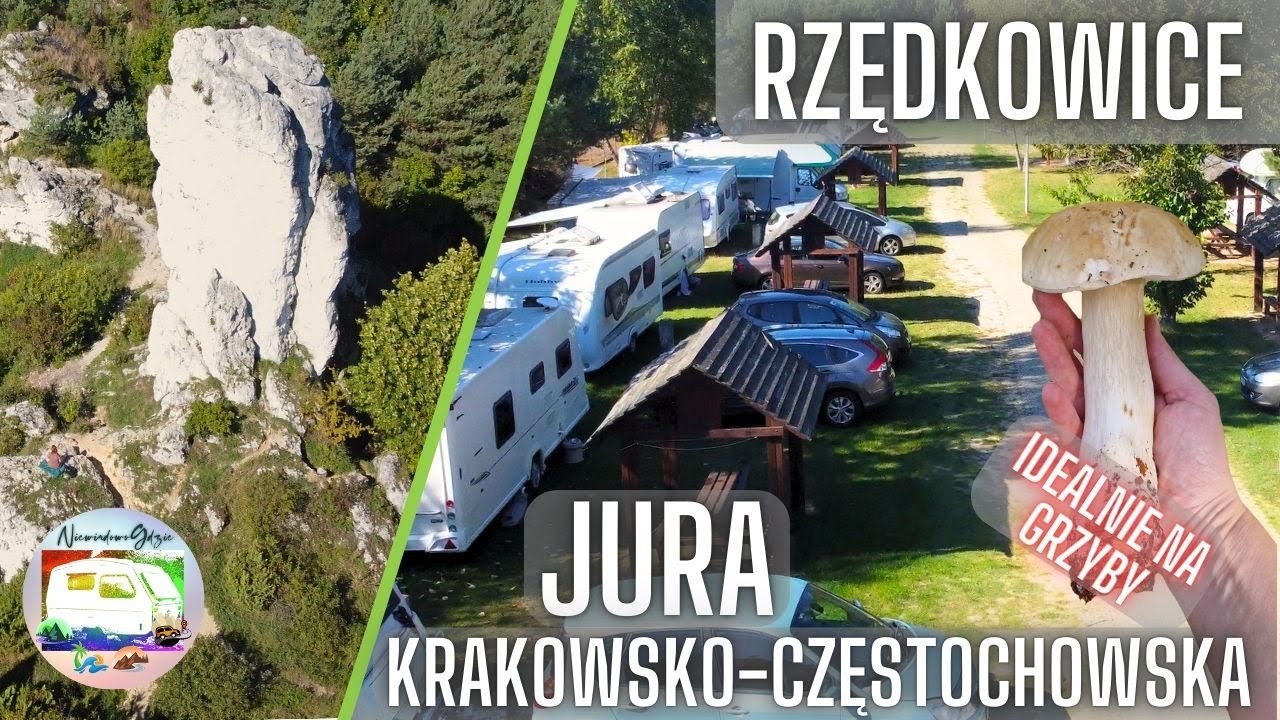 Pole Namiotowe w Rzędkowicach     JURA Krakowsko-Częstochowska