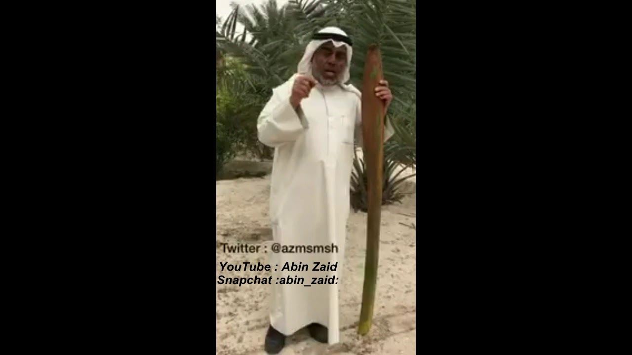 بعض الأصناف التي أرشحها لنستنبت منها فحول النخيل ...