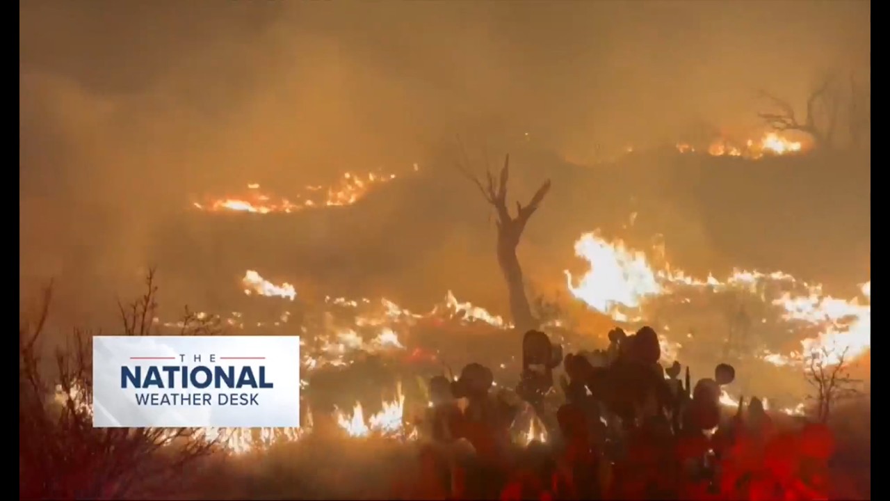 TNWD Live: Clean from #BlizzardOf2026 continues; wildfires spreading across TX & FL