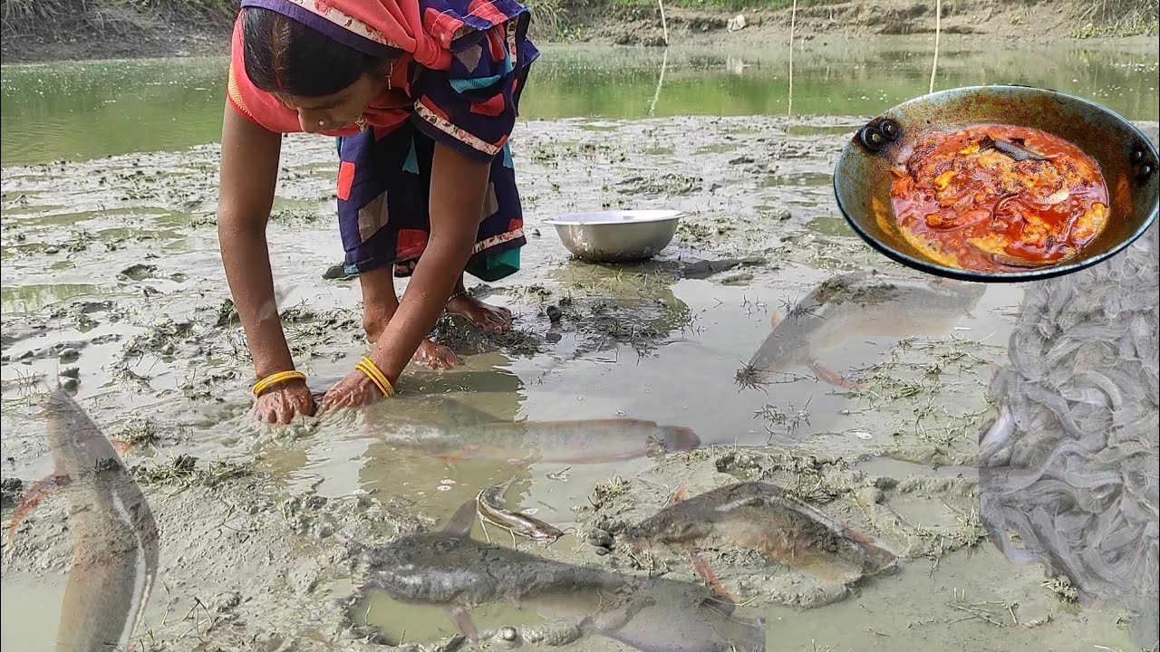 Amazing Hand catching fish,singhi fish cooking&eating in village, catching fish in mud water by hand