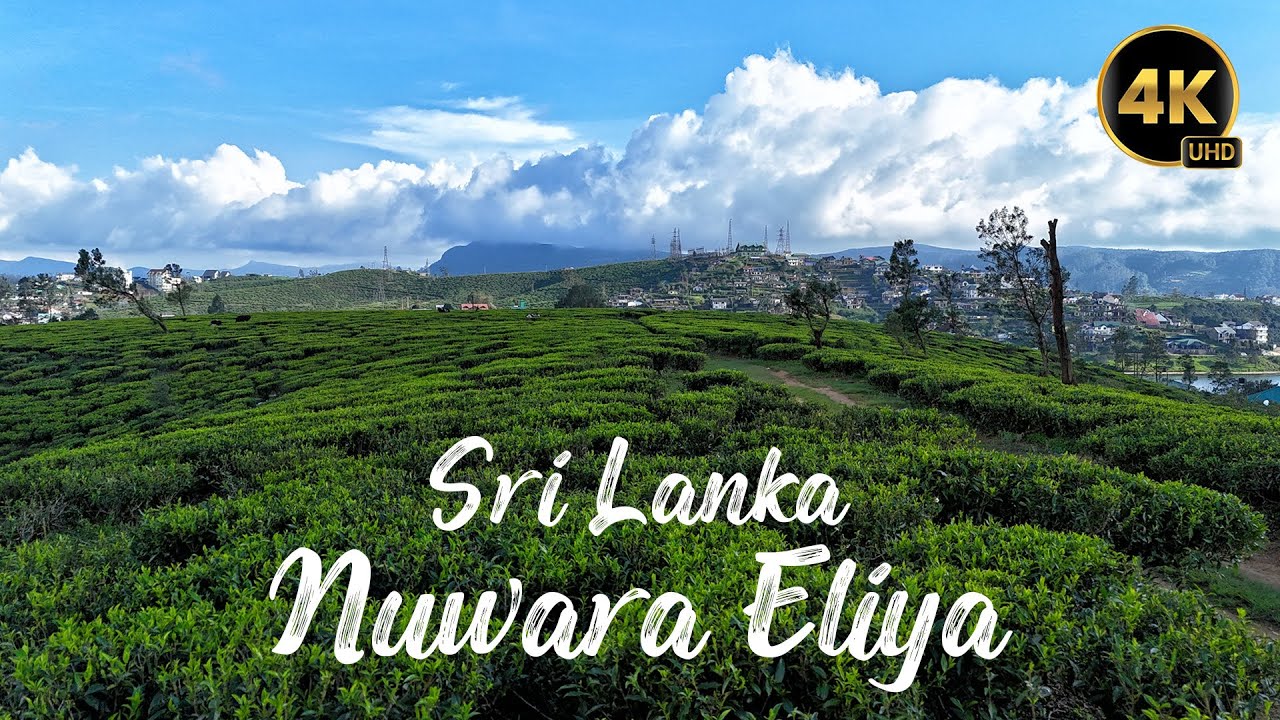 Nuwara Eliya, Sri Lanka, 4K Cinematic Drone Footage, Relaxing Music