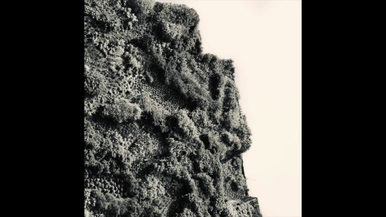 Taco de Golfe - Volto