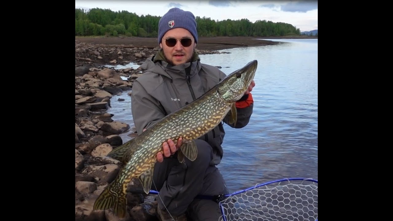 Gjedde på popper, og abbor på kreps