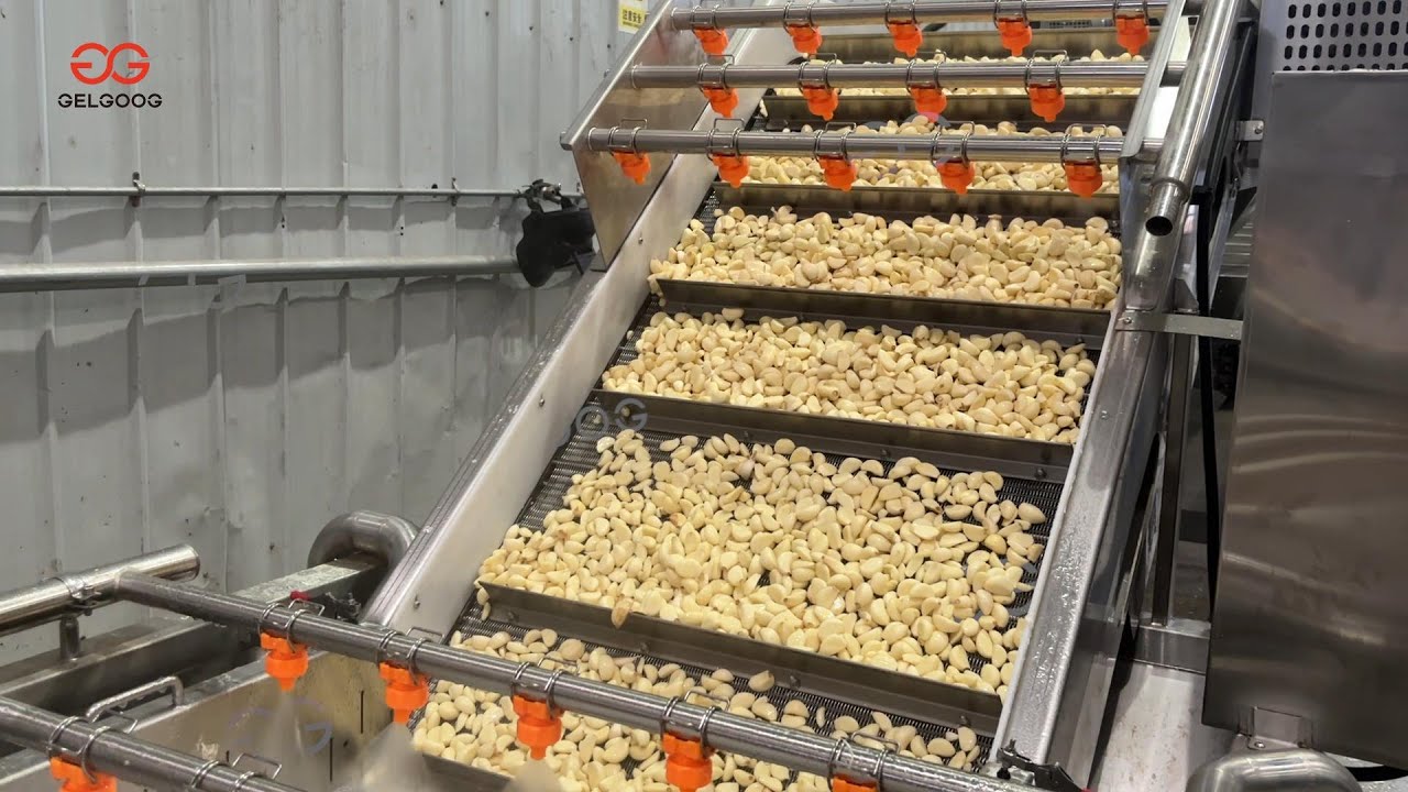 Automatic Garlic Peeling and Packing Line | Garlic Processing Machine Test Run
