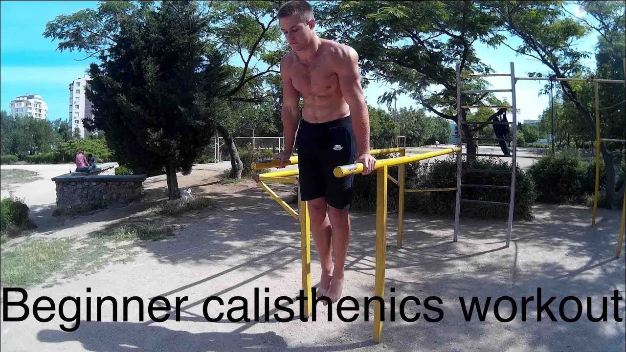 Beginner Calisthenics Workout Routine (Full Body)