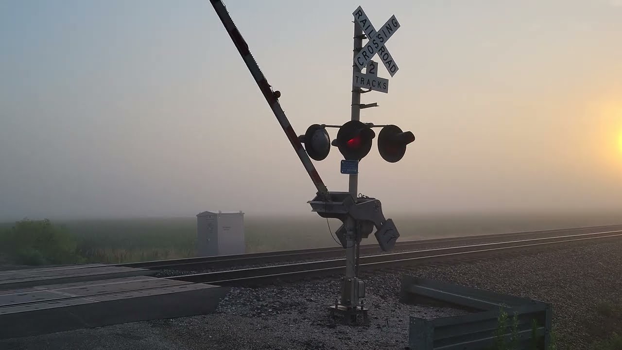 Union Pacific Intermodal Train in Dense Morning Fog