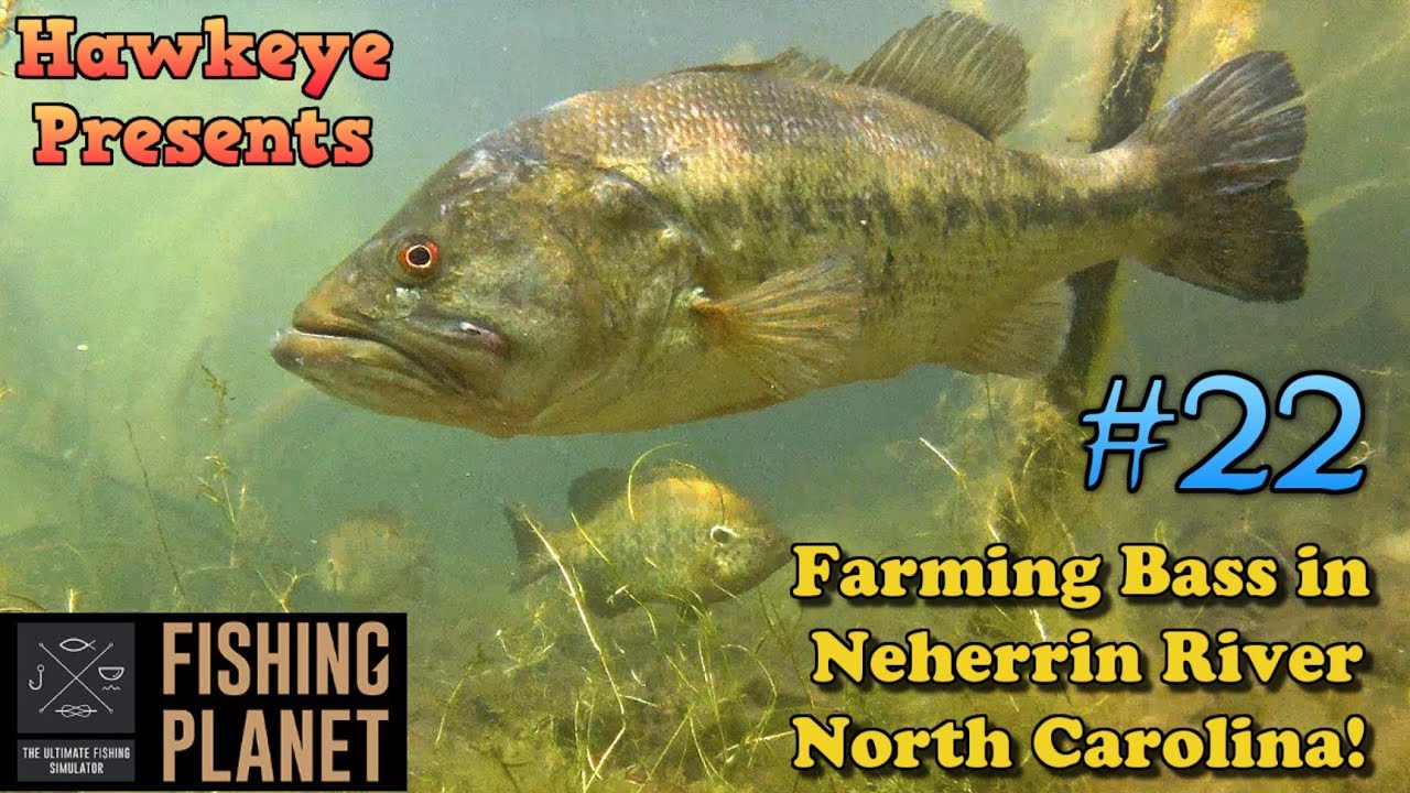 Fishing Planet S2 - Ep. #22: Farming Bass at Neherrin River, North Carolina!