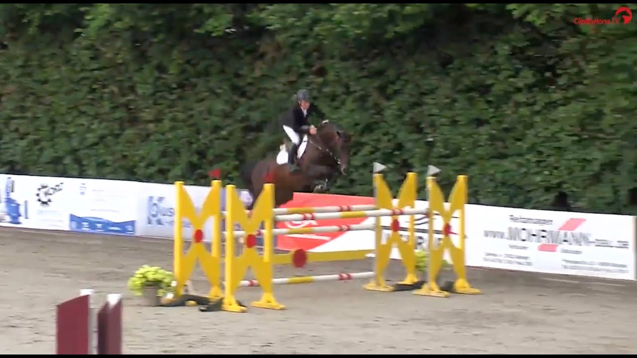 Charaktervoll v. Comme il faut und R.G. Bengtsson – Platz 6 im Youngster S*