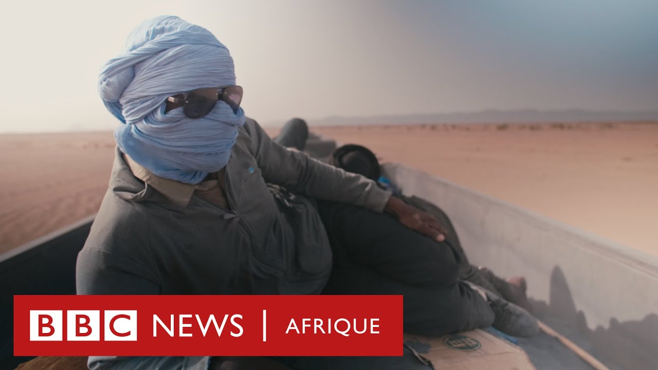 Des animaux mangent du carton, car il n'y a plus de nourriture !