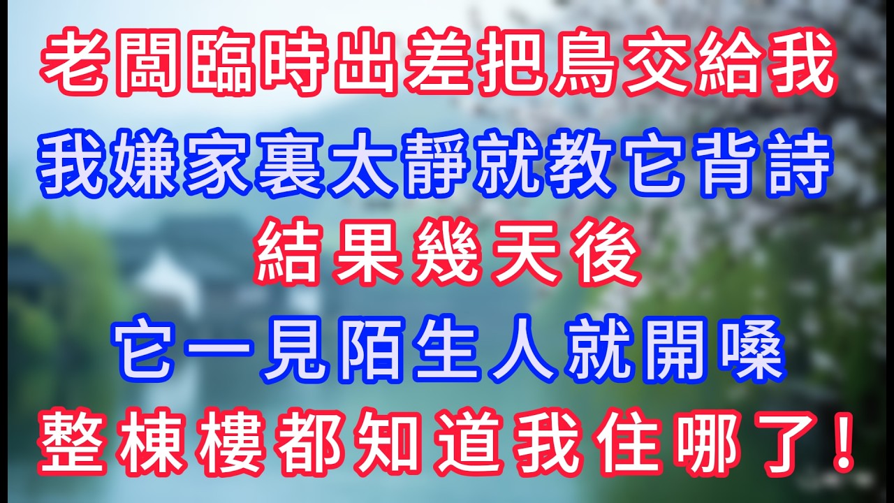 老闆臨時出差把鳥交給我，我嫌家裏太靜就教它背詩，結果幾天後它一見陌生人就開嗓，整棟樓都知道我住哪了！#岁月温情 #情感故事#幸福生活#為人處世#生活經驗#婆媳故事#子女孝順#孝順#子女不孝