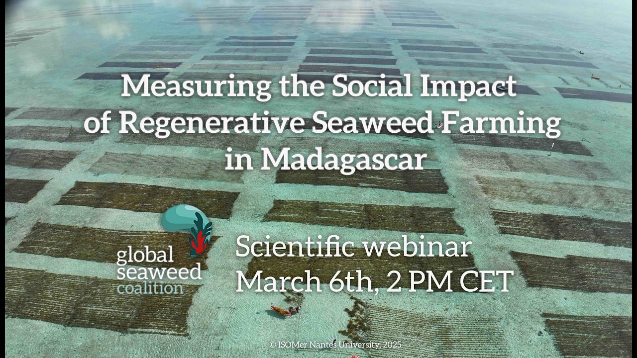 Measuring the Social Impact of Regenerative Seaweed Farming in Madagascar