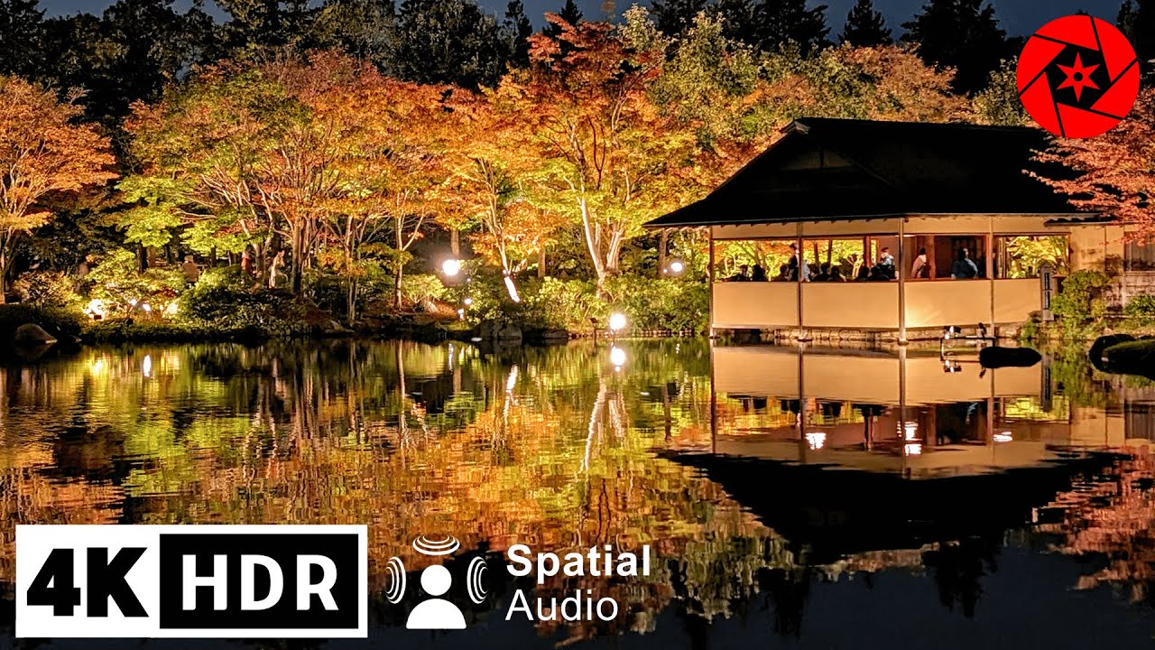 Tokyo's Best Autumn Illumination Night Walk 2023 - 4K HDR  Spatial Audio