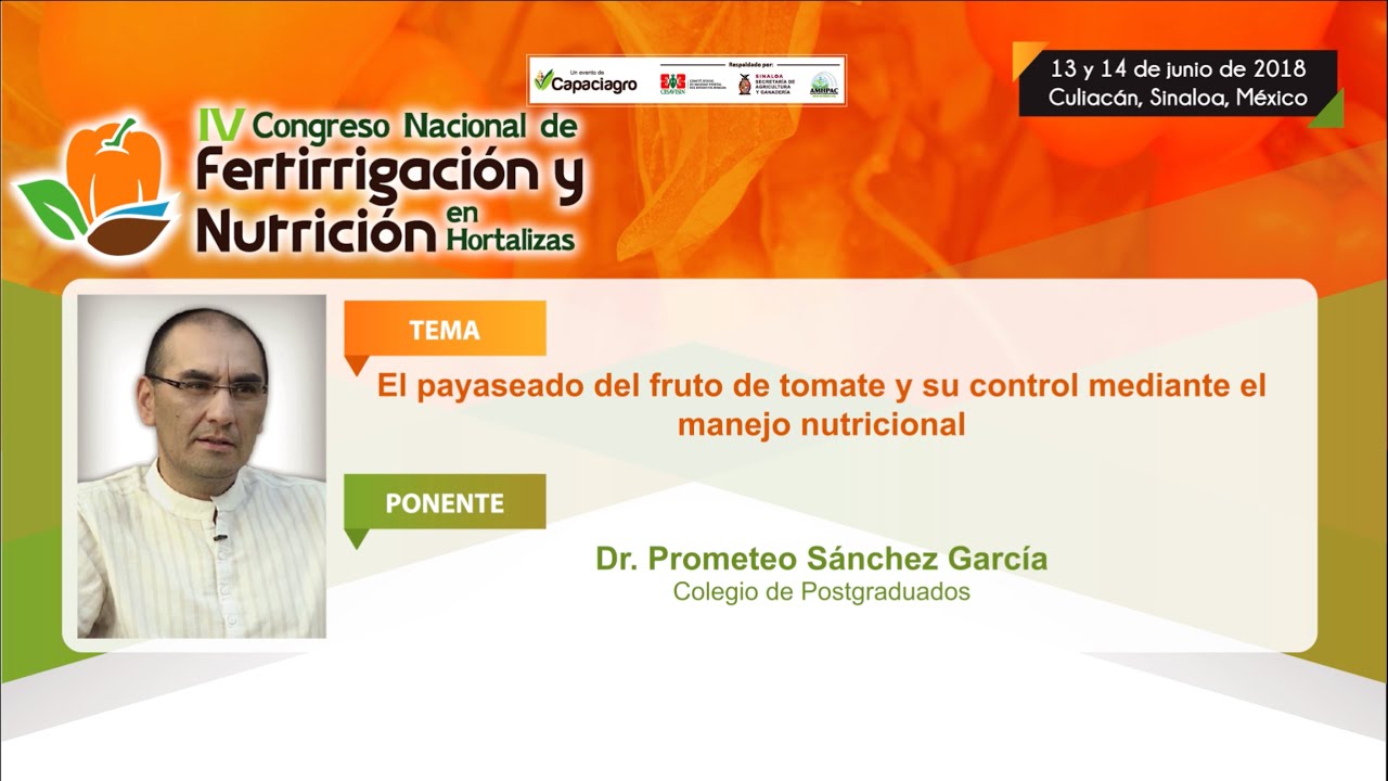 #Capaciagro | El payaseado del fruto de tomate y su control mediante el manejo nutricional