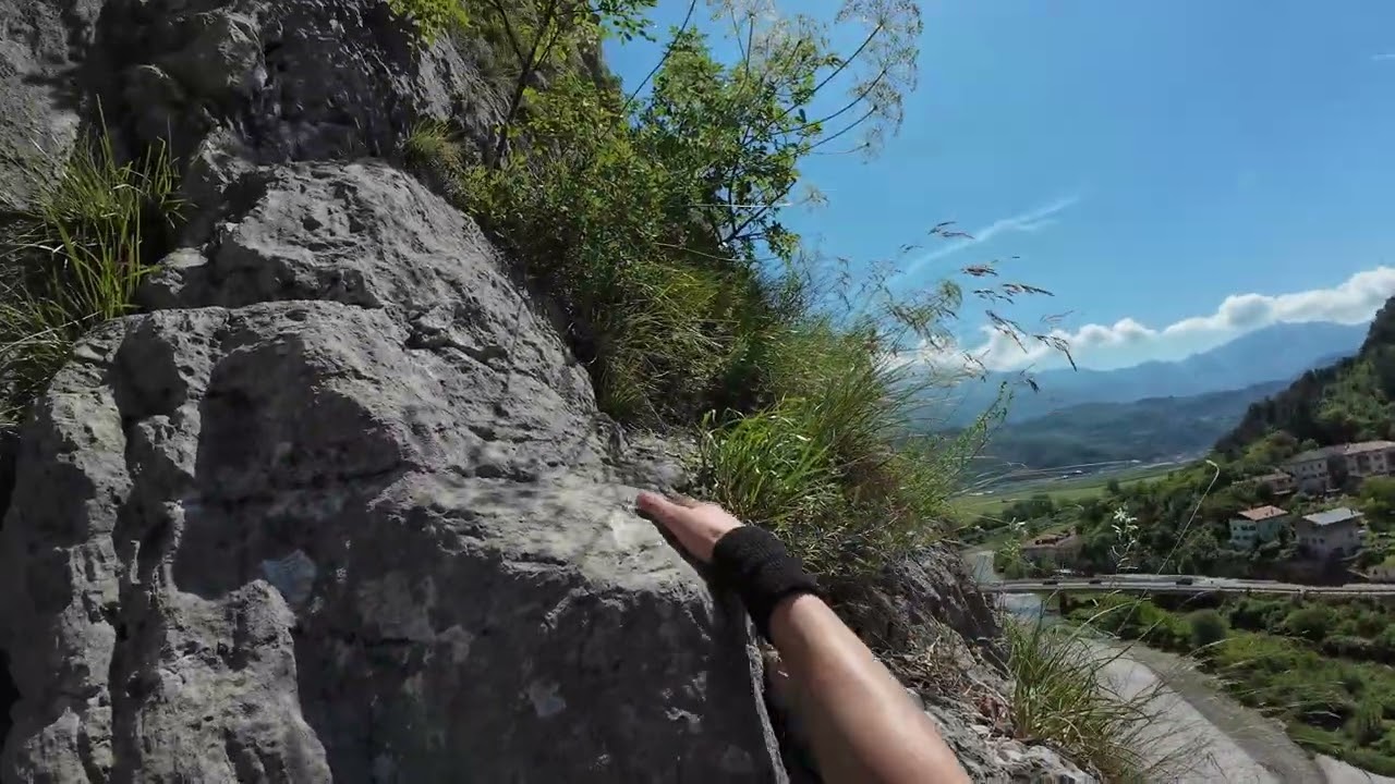 Piccolo Dain - Moon Bears