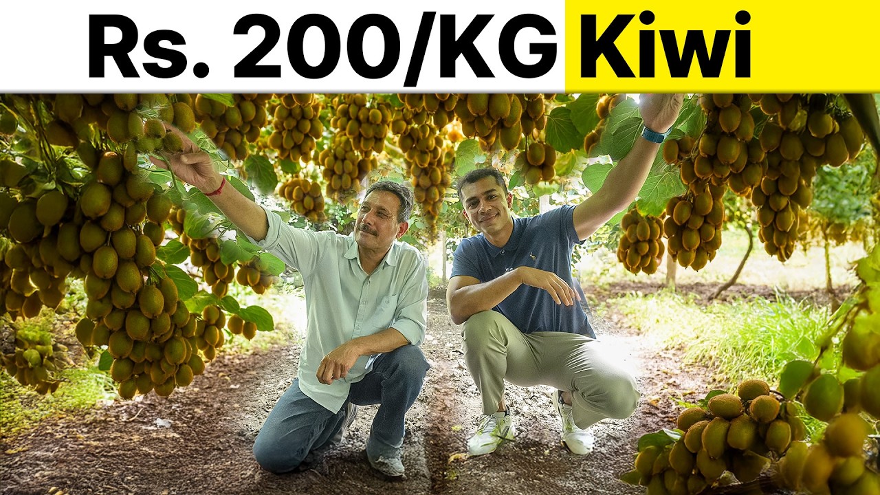 Kiwi Farming करके बनाया 1 Crore का Farming Business | Complete Guide