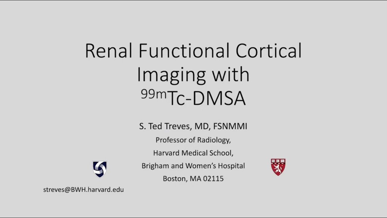 Renal Functional Cortical Imaging with 99m Tc DMSA