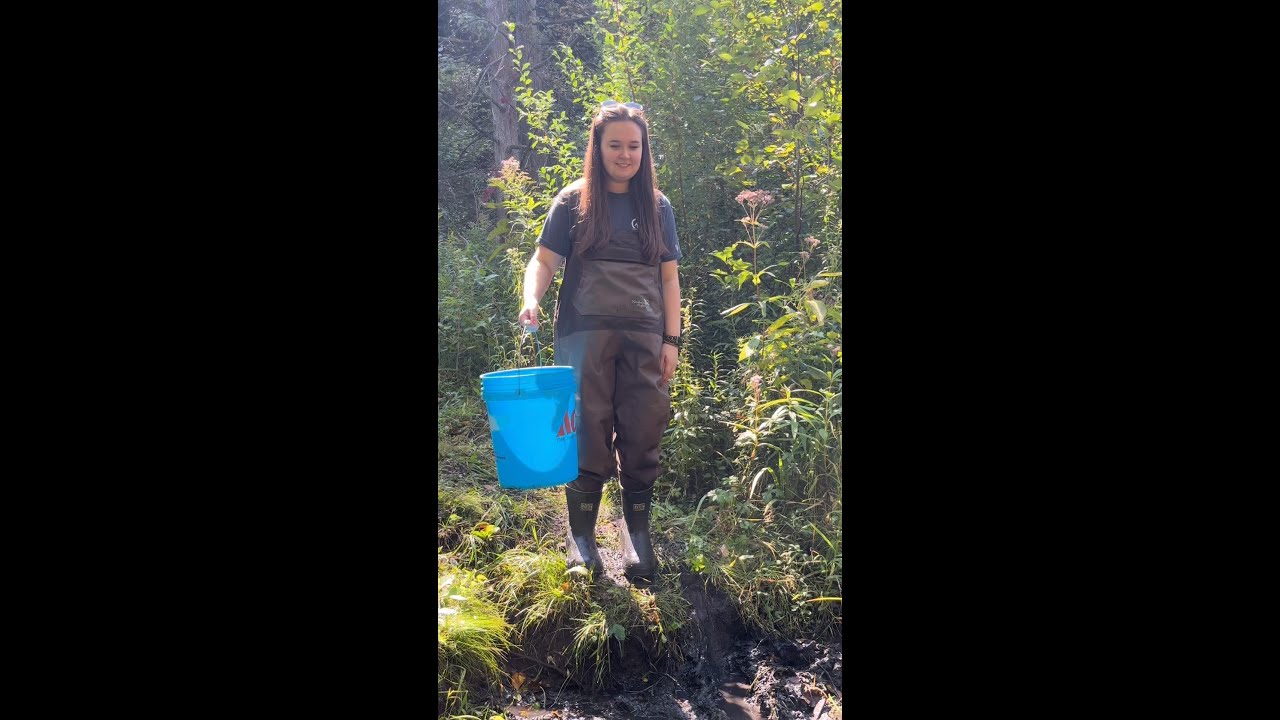 Cedar River Stream Sampling