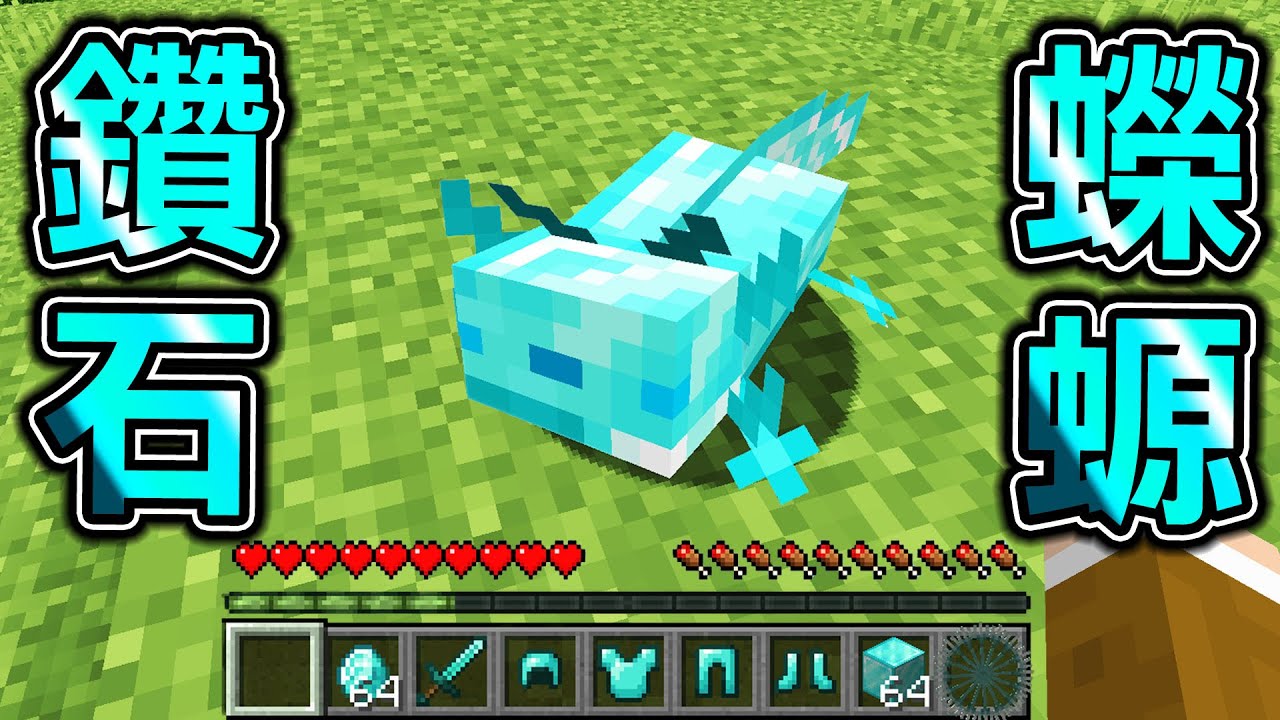 Minecraft 鑽石蠑螈！能【改造蠑螈】獲得最強能力生存，無限礦物！最強金屬【獄髓蠑螈】能夠..？｜全字幕｜當個創世神【阿斯asu】