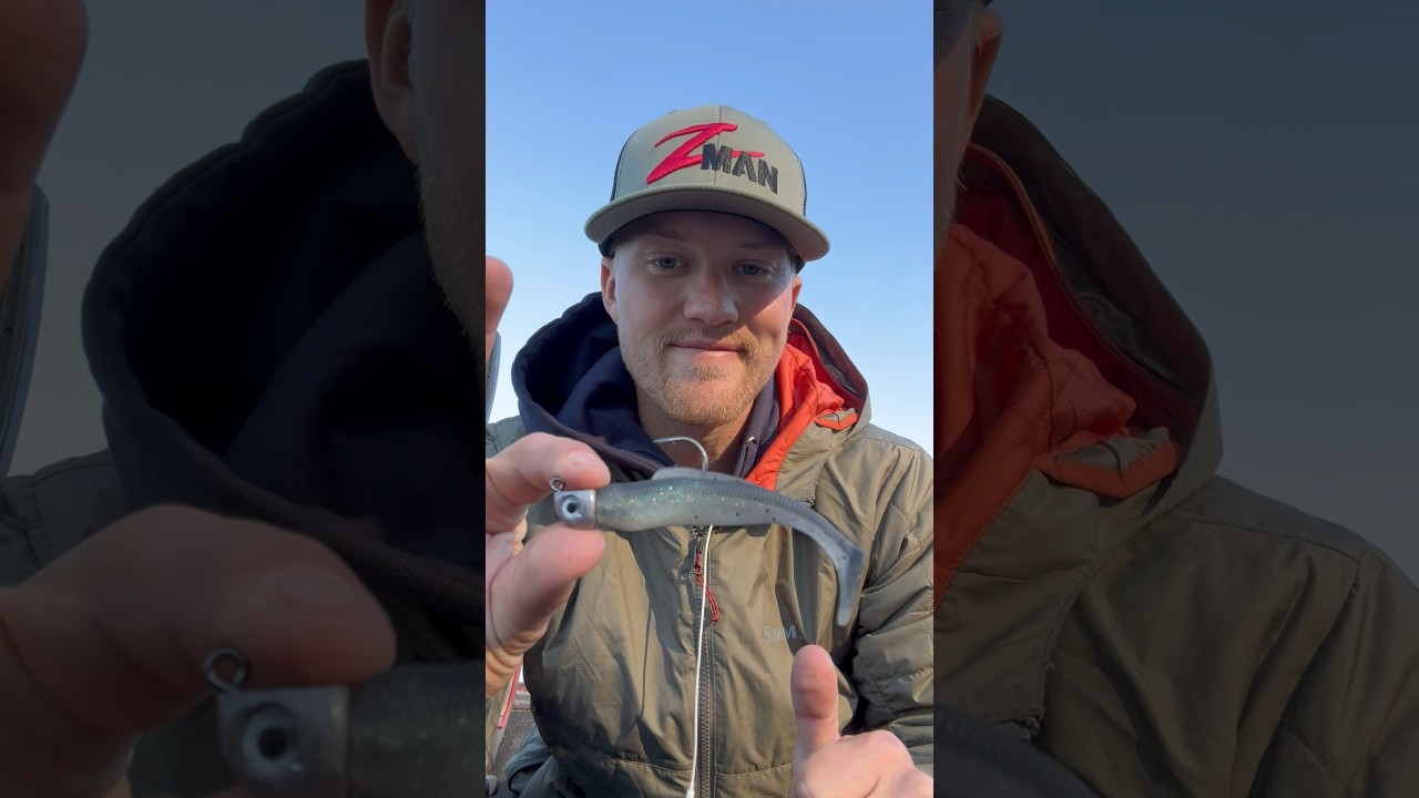 How To Rig A Swimbait Right!