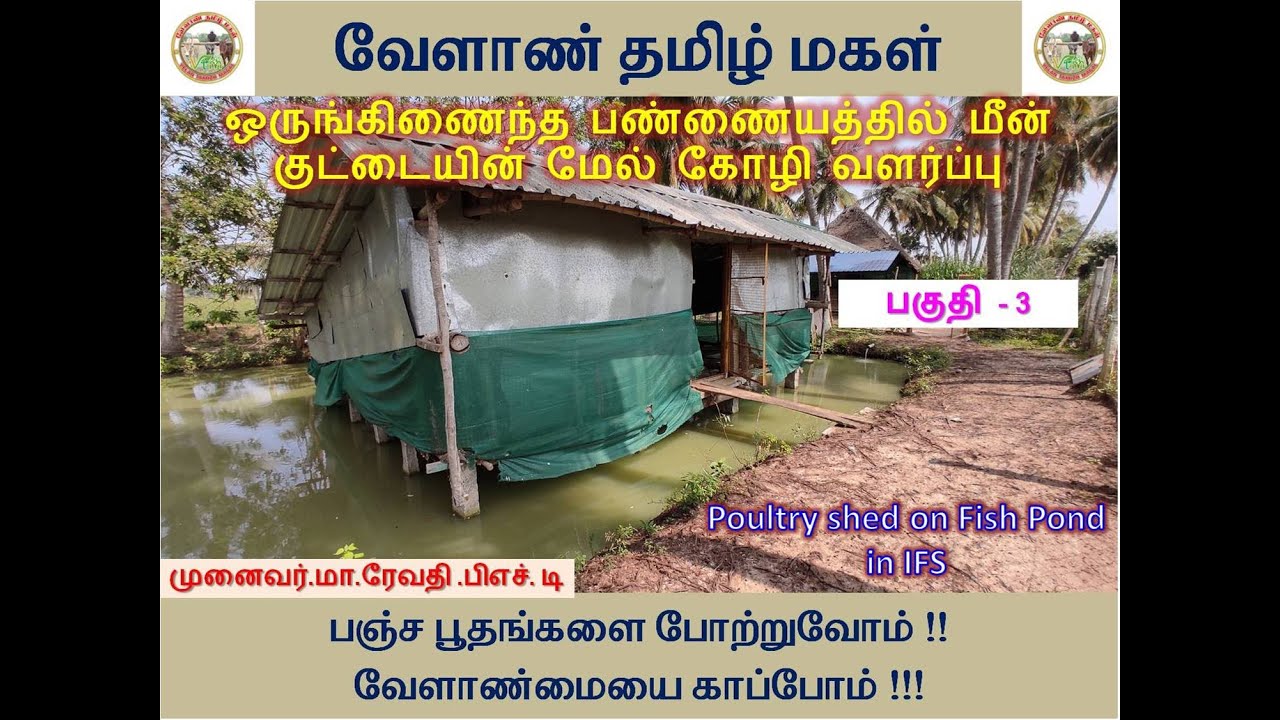 ஒருங்கிணைந்த பண்ணையத்தில் மீன் குட்டையின் மேல் கோழி வளர்ப்பு பகுதி -3/Poultry shed on Fish Pond- IFS