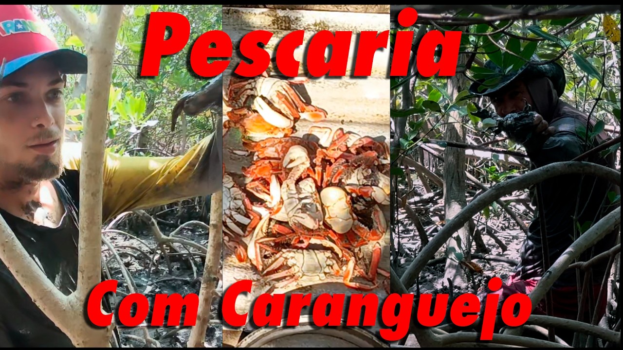 Dia de pescar e pegar aquele caranguejo gordo pra fazer um incrível cozido