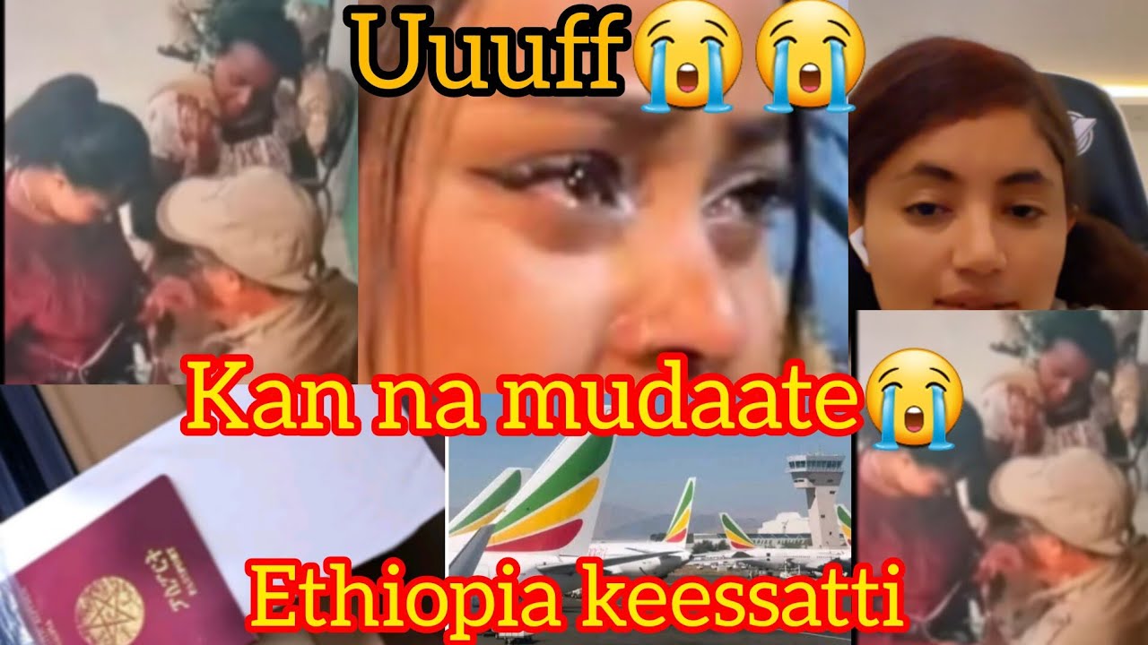 Qarshiif warqii narraa fuudhatan mudaannoo biyya Ethiopia araba galte !irrqw baradha mee😭