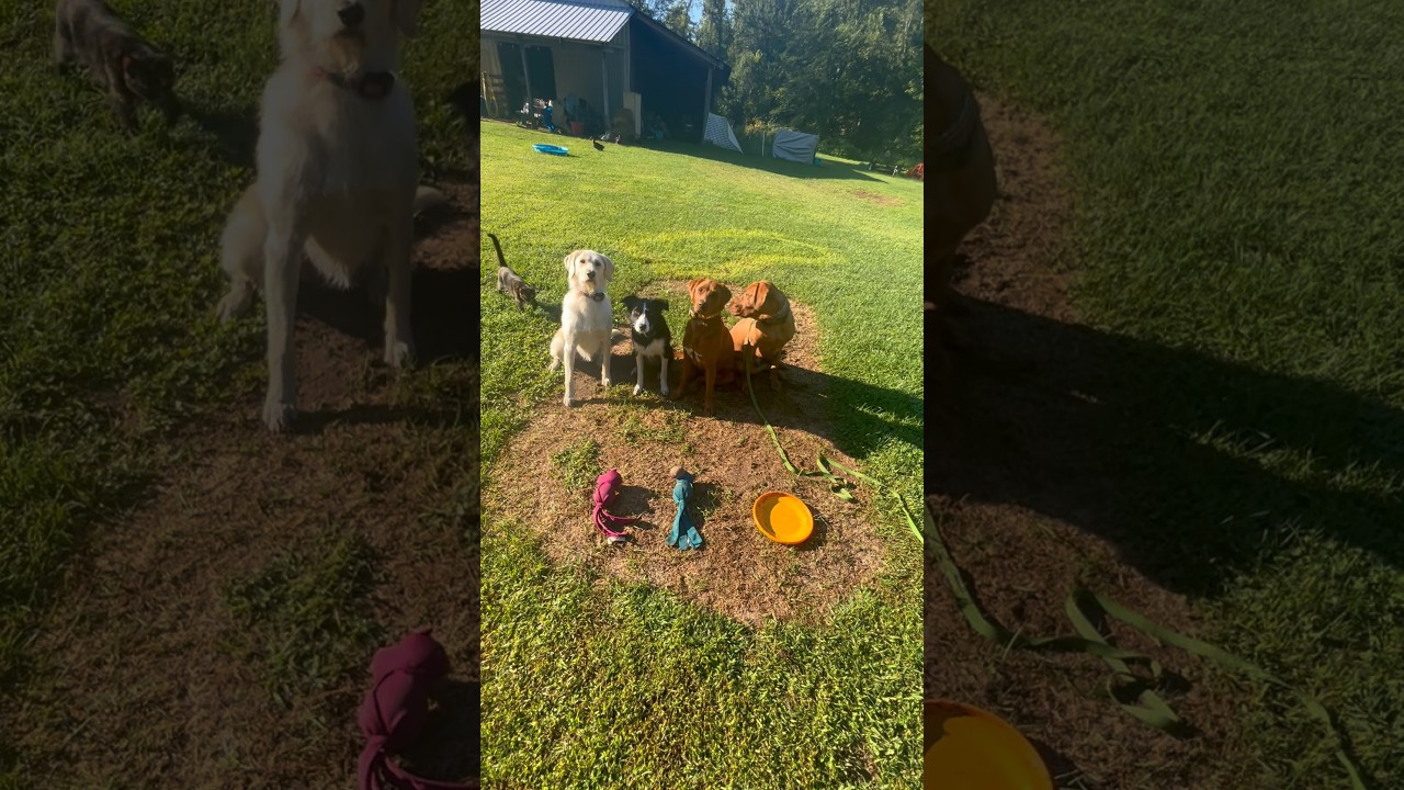 #Packtraining