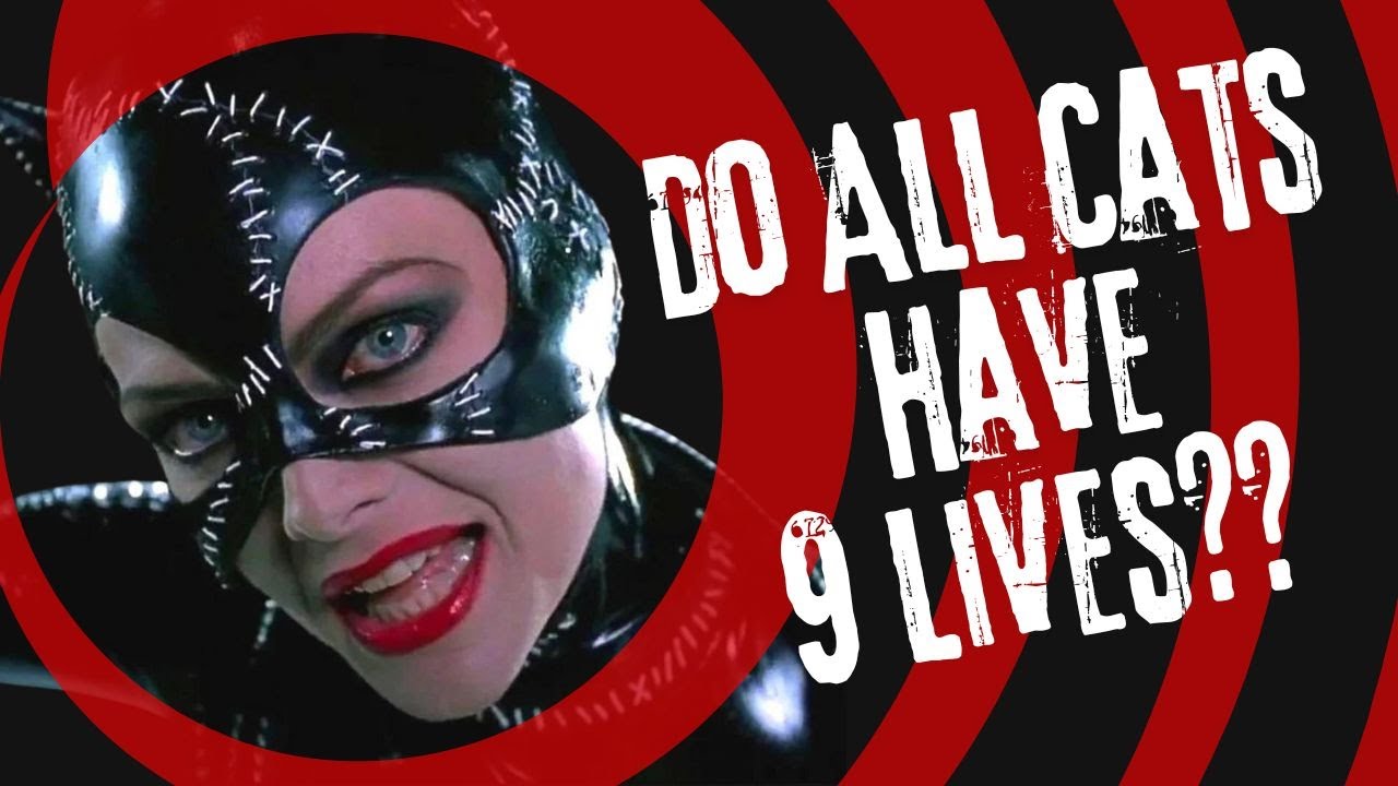 Do cats really have 9 lives?