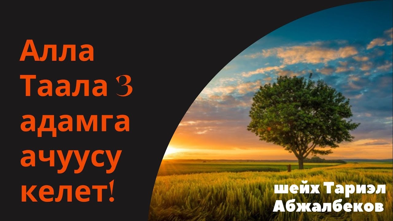 Алла Таала 3 адамга ачуусу келет! | шейх Тариэл Абжалбеков