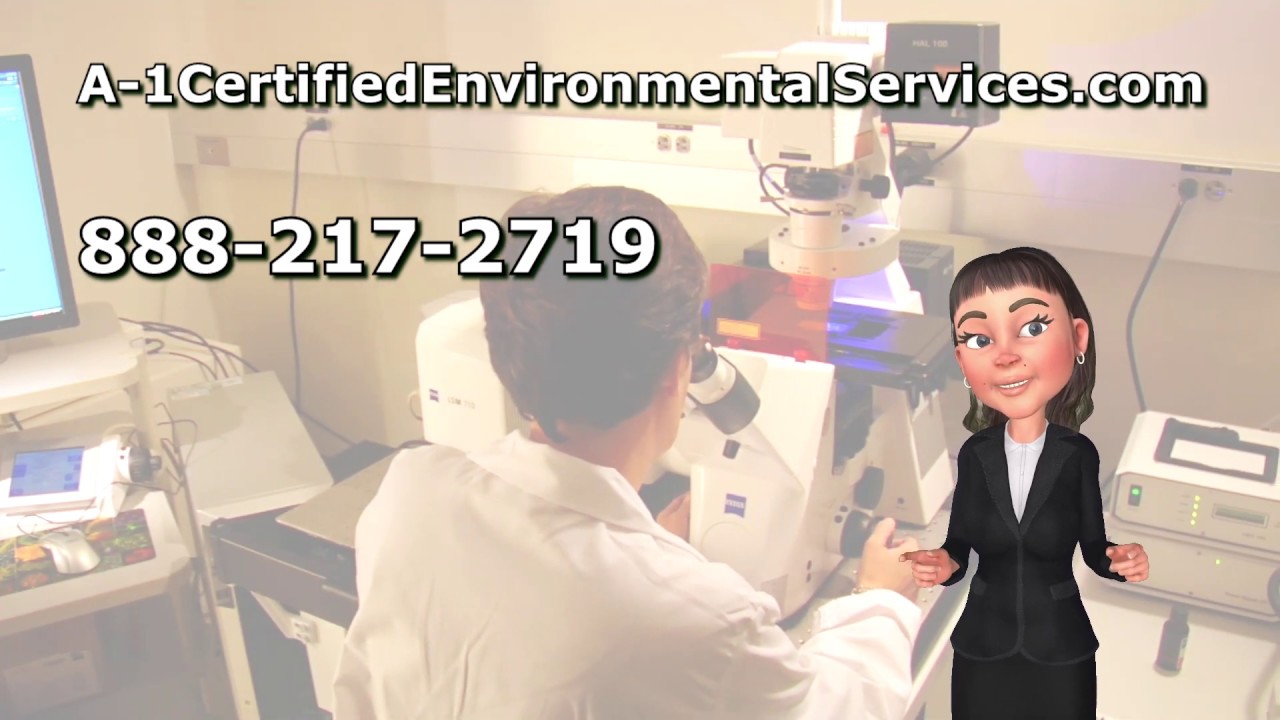Mold Testing Vallejo