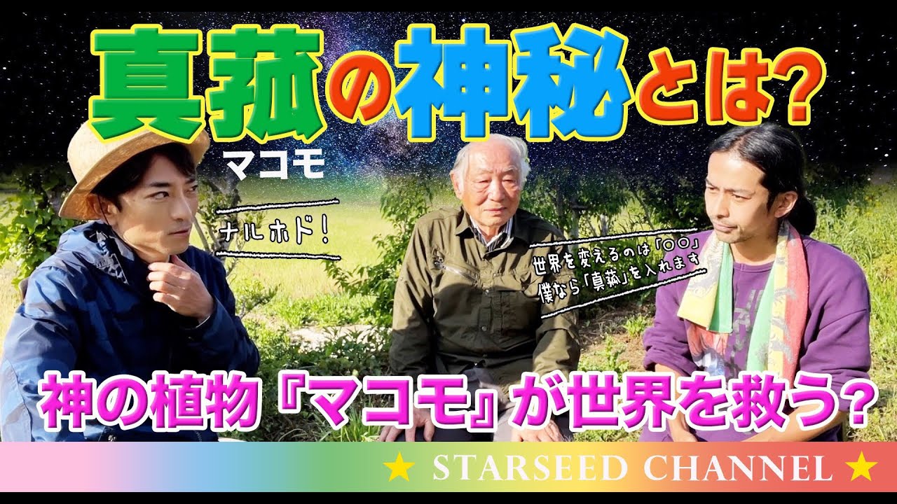 神の植物『マコモ』が世界を救う？『真菰』の神秘とは？