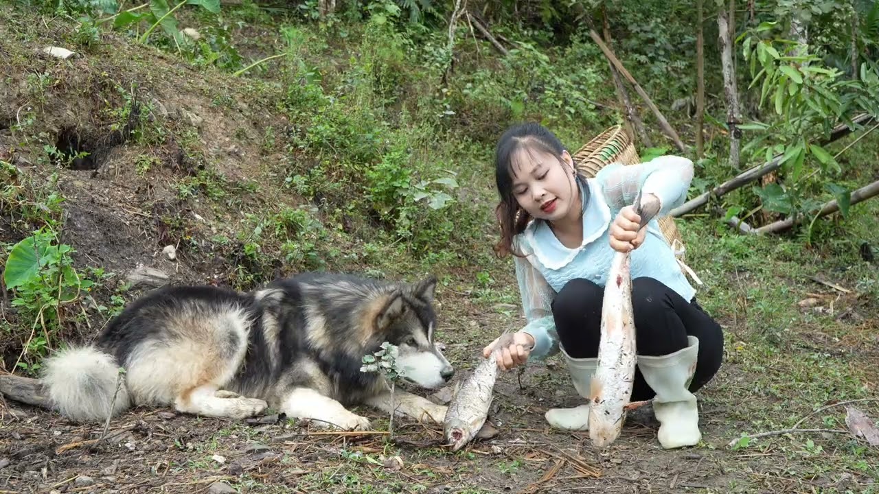The girl's life on the mountain farm was peaceful and wonderful.