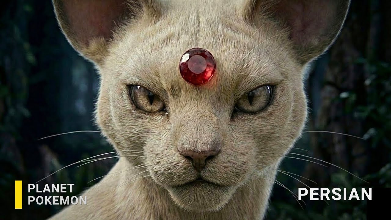 Real Life Pokémon – NatGeo: Meowth to Persian | The Urban Apex Predator