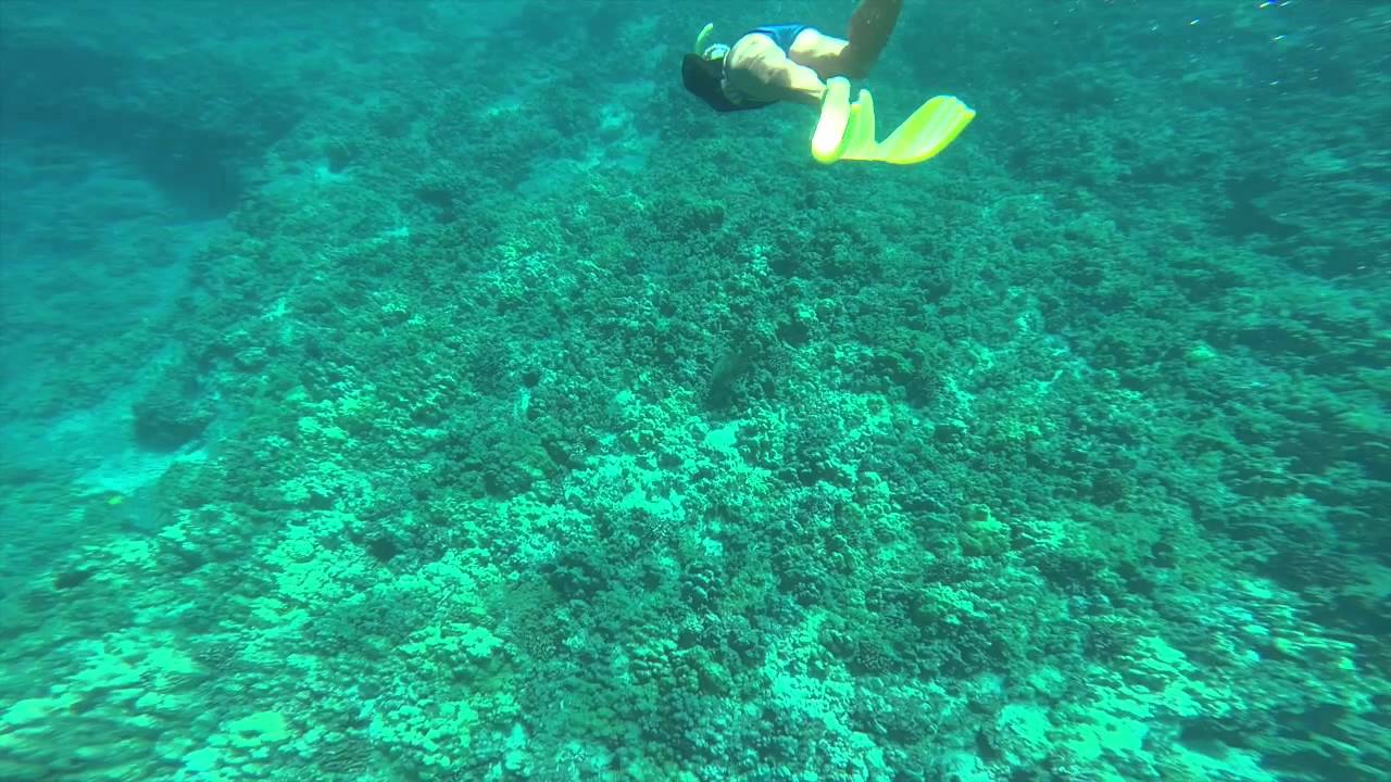 GOPR0006